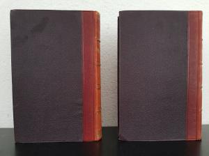 Mill, John Stuart. System der deductiven und inductiven Logik. Eine Darlegung der Grundsätze der Beweislehre und der Methoden wissenschaftlicher Forschung.