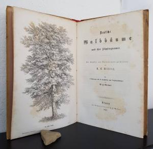 Klöbisch, R. L. Deutsche Waldbäume und ihre Physiognomie.