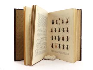 Calwer, C. G. C. G. Calwers Käferbuch. Naturgeschichte der Käfer Europas.