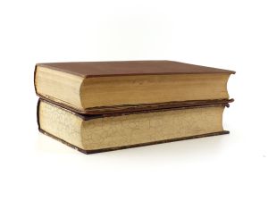 Lombroso, C. L'Uomo di Genio.