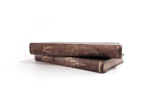 Prutz, R. E. (Robert Eduard) (Hrsg.). Literarhistorisches Taschenbuch. 1: Erster Jahrgang 1843. 2: Zweiter Jahrgang 1844.