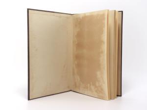 Carletto. Ernst Graf Napoleon Buonaparte angeblicher Sohn Napoleon I und der Gräfin Kielmannsegge-Schönberg.