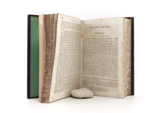 Düntzer, Heinrich. Goethe´s Faust. Erster und zweiter Theil.