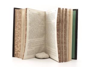 Düntzer, Heinrich. Goethe´s Faust. Erster und zweiter Theil.