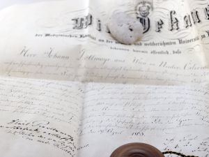Rokitansky, K. u.a. Die feierliche Sitzung der kaiserlichen Akademie der Wissenschaften am 31. Mai 1867. + AUTOGRAPH -