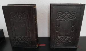 Vogt, Carl. Zoologische Briefe. Naturgeschichte der lebenden und untergegangenen Thiere,
