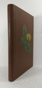 Rümpler, Theodor. Die Sukkulenten (Fettpflanzen und Kakteen).