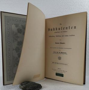Rümpler, Theodor. Die Sukkulenten (Fettpflanzen und Kakteen).