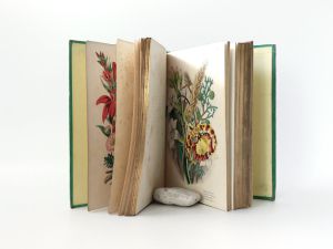 Lee, R. Trees, Plants and Flowers: Their Beauties, Uses, and Influences.