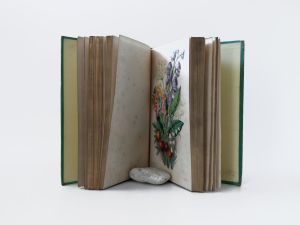 Lee, R. Trees, Plants and Flowers: Their Beauties, Uses, and Influences.