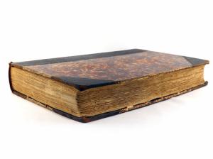 Dubois, Alphonse. Synopsis Avium. Nouveau manuel d´Ornithologie.