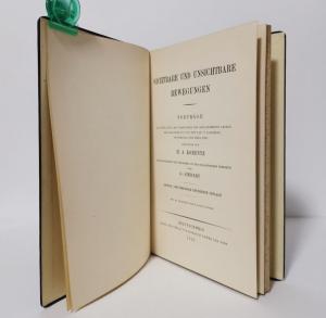 Lorentz, H. A. Sichtbare und unsichtbare Bewegungen.