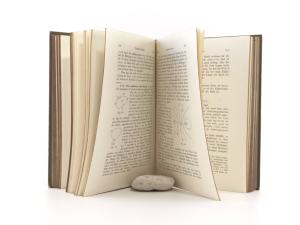 Lorentz, H. A. Lehrbuch der Physik zum Gebrauche bei Vorlesungen und beim Unterrichte. Erster und zweiter Band.