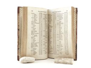 Loppold, G. H. C. - C. Ph. Funke (Hrsg.). Supplementband zum Neuen Natur- und Kunstlexicon, enthaltend Berichtigungen und Nachträge, einen Linneischen Nomenclator und ein deutsches Synonymen-Register...