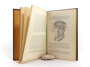 Mach, E. Die Analyse der Empfindungen und das Verhältniss des Physischen zum Psychischen.