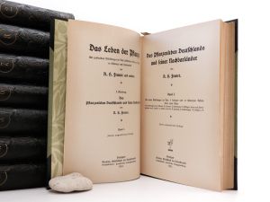 Francé, R. H. Das Leben der Pflanze.