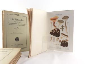 Ricken, Adalbert. Die Blätterpilze (Agaricaceae) Deutschlands und der angrenzenden Länder, besonders Oesterreichs und der Schweiz.