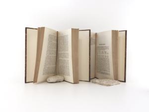 Humboldt, Alexander von. Gesammelte Werke. Bände 1-4: Kosmos. Entwurf einer physischen Weltbeschreibung; Bände 5-8: Reise in die Aequinoktial-Gegenden des neuen Kontinents. In deutscher Bearbeitung ...