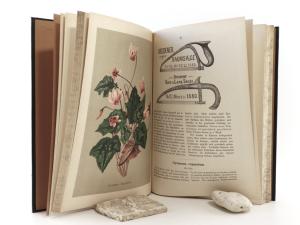 Neubert, Wilhelm (Hrsg. u. Red.). Deutsches Magazin für Garten- und Blumenkunde.