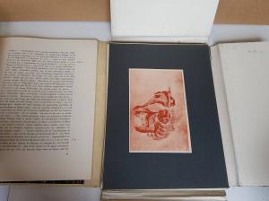 Bredt, E. W. Hässliche Kunst?