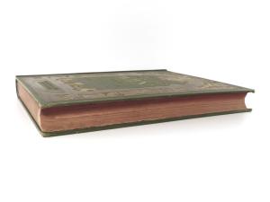 Kisch, Wilhelm. Die alten Strassen und Plätze Wien's und ihre historisch interessanten Haeuser.