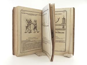 Maria Theresia - Constitutio Criminalis Theresiana oder der Römisch- Kaiserl. zu Hungarn und Böhmen etc. etc. Königl. Apost. Majestät Mariä Theresiä Erzherzogin zu Oesterreich, etc. etc. peinlic...
