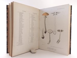 Schulzer von Müggenburg, Stephan, Karoly Kalchbrenner. Icones selectae Hymenomycetum Hungariae. I.