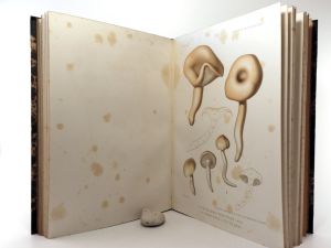 Schulzer von Müggenburg, Stephan, Karoly Kalchbrenner. Icones selectae Hymenomycetum Hungariae. I.