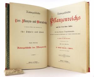 Naturgeschichte des Pflanzenreichs nach dem Linnéschen System.