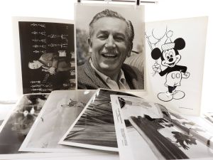 Filmprogrammsammlung - Zeichentrickfilme (Animationsfilme).