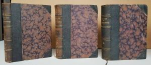 Ostwald, Wilhelm (Hrsg.). Annalen der Naturphilosophie.