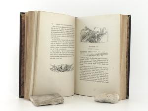 Michelet, J. Histoire de la Révolution Francaise. Tome premier - neuvième.
