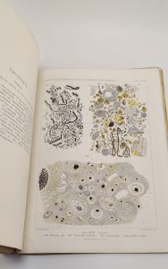 Haecker, Valentin. Tiefsee-Radiolarien. Allgemeiner Teil.