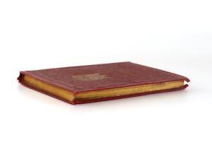 Nürnberg´s Gedenke-Mein.