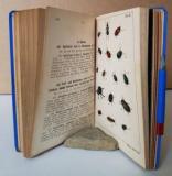 Schenkling, Carl (Bearb.). Taschenbuch für Käfersammler.