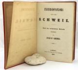 Gremli, August. Excursionsflora für die Schweiz. Nach der analytischen Methode.