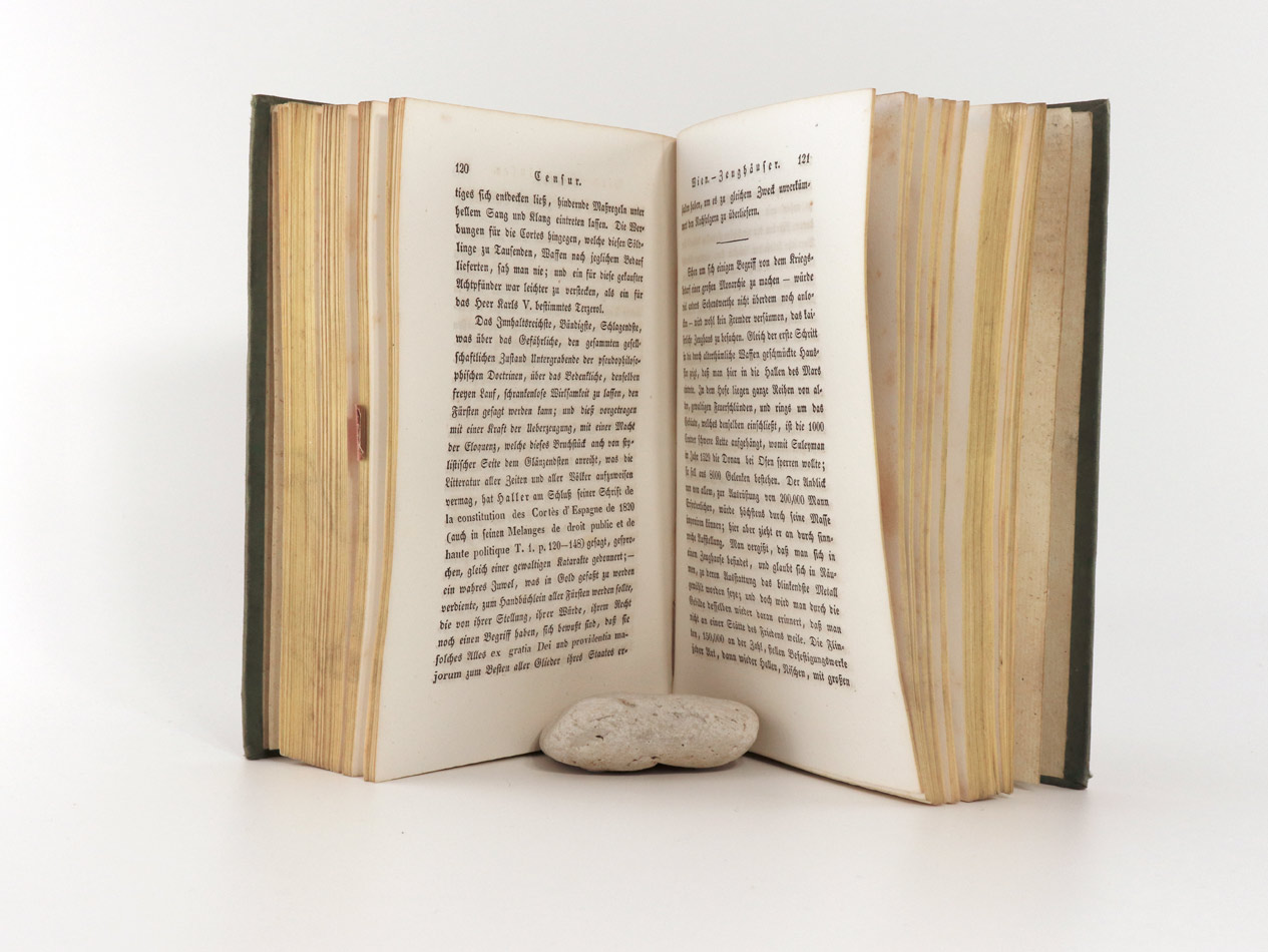 Hurter, Friedrich (Emanuel von). Ausflug nach Wien und Presburg, im Sommer 1839.