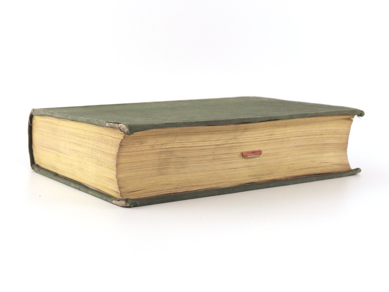 Hurter, Friedrich (Emanuel von). Ausflug nach Wien und Presburg, im Sommer 1839.