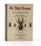 Neunzig, Karl und Aug. Schleyer. Die Käfer Europas.