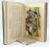 Kleffner, Wilhelm, Wulf, Arthur. Kramers Taschenbuch der Rassegeflügelzucht. Mit einer Einleitung von H. du Roi in Braunschweig.