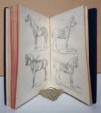 Dürr, Georg. Die Dressur des Reitpferdes auf naturgemäßer Grundlage.