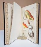 Lenz, Harald O(thmar), Otto Wünsche, (Bearb.). Prof. Dr. Harald O. Lenz' nützliche, schädliche und verdächtige Schwämme.