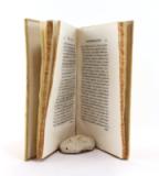 Bonamici, Castruccii. De Rebus ad Velitras Gestis Commentarius ad Trojanum Aquavivam Aragonium.