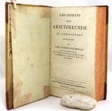 Willdenow, Carl, Ludwig. Grundriss der Kräuterkunde. Zu Vorlesungen entworfen.