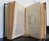 Hamilton, Jan Sir. Tagebuch eines Generalstabsoffiziers während des russisch-japanischen Krieges.