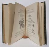 Peters, Robert. Erfolgsichere Zimmergärtnerei.