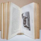 Schwarznecker - Simon von Rathusius. Schwarneckers Pferdezucht. Rassen, Züchtung und Haltung des Pferdes.