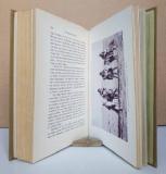 Hedin, Sven v. Abenteuer in Tibet.