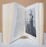 Eberl-Elber, Ralph. Westafrikas letztes Rätsel.