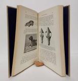 Antonius, Otto. Grundzüge einer Stammesgeschichte der Haustiere.